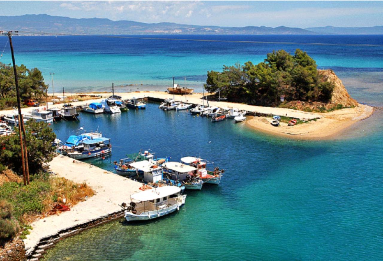 Seaside Villa เนอาโปติไดอา ภายนอก รูปภาพ
